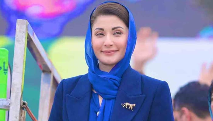 سینیٹ انتخابات، پیپلز پارٹی کے رہنماؤں کی مریم نواز سے آج ملاقات کا امکان