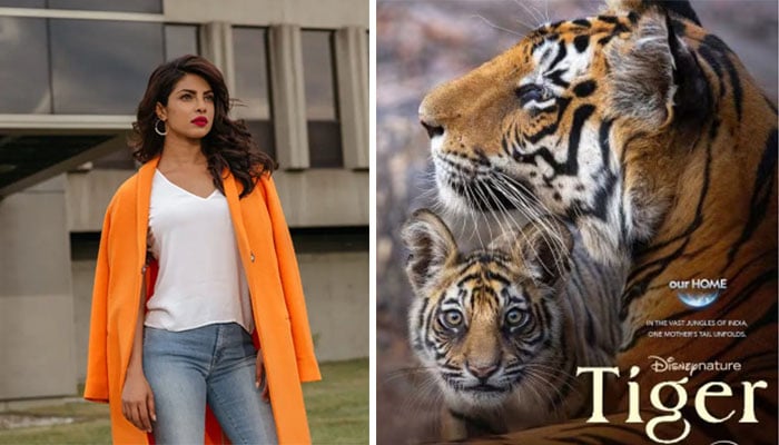Priyanka Chopra announce her new film 'Tiger'
