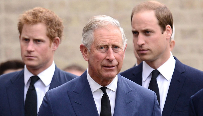 Prince William, Prince Harry ‘suppressed negativity’ when King Charles ...