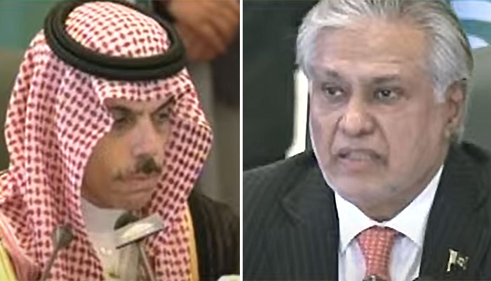 وزیرِ خارجہ اسحاق ڈار سعودی ہم منصب شہزادہ فیصل بن فرحان کے ہمراہ خصوصی سرمایہ کاری سہولت کونسل کے اجلاس سے خطاب کر رہے ہیں—’جیو نیوز‘ گریب