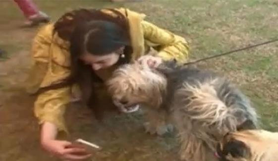 خیبر میڈکل کالج میں بلوسم فیسٹا فن فیئر اور پیٹ شو