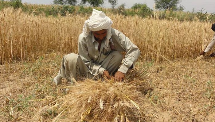 کسانوں کا پنجاب اسمبلی کے سامنے احتجاج کا اعلان