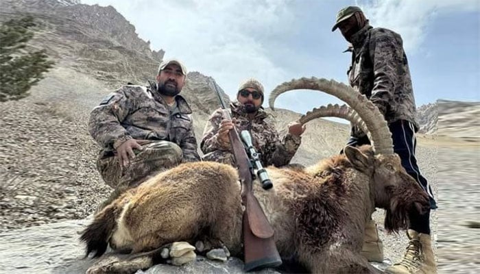 جمال آباد، گوجال ہنزہ سے تعلق رکھنے والے سلمان رضا نے رواں سیزن ہمالیائی آئی بیکس کا شکار کیا ہے جس کے سینگوں کا سائز 45 انچ ہے—تصویر بشکریہ فیس بک