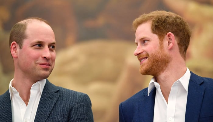 Prince William is ‘jealous’ of Prince Harry’s new lifestyle