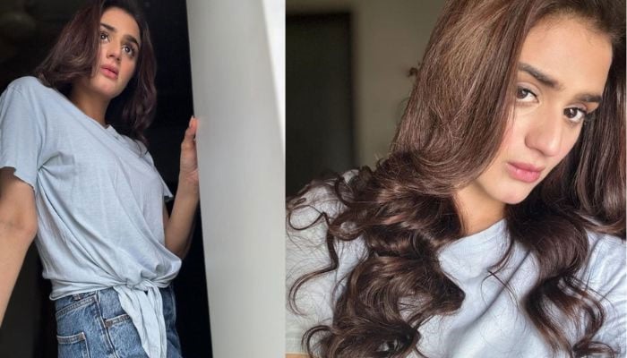 Hira Mani ditches her original dark hair for caramel: See