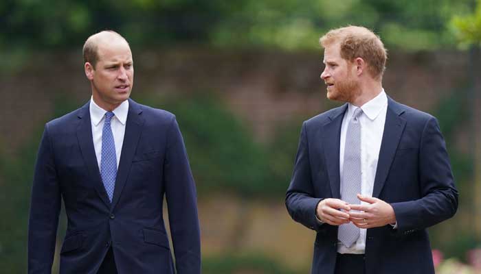 Will Prince Harry and Prince William reconcile?