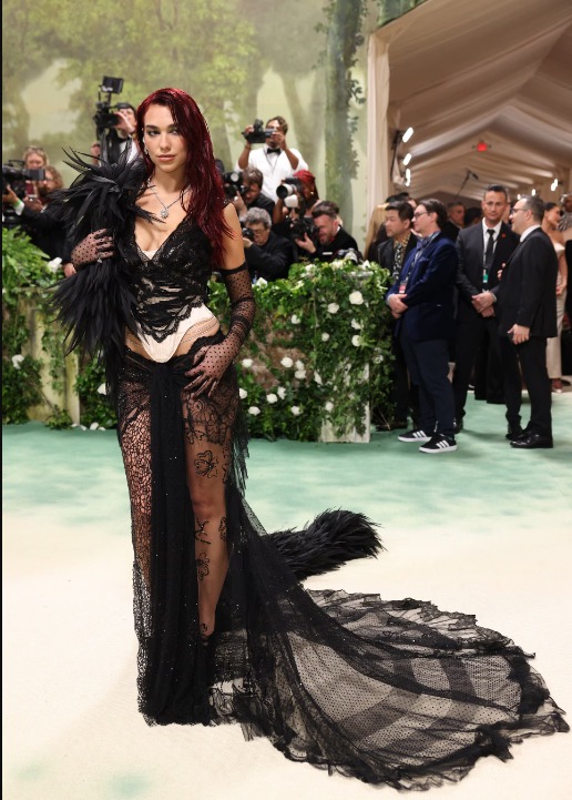 5 Most bizarre outfit spotted at Met Gala 2024