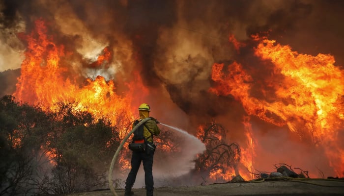 Mexico battles with 159 active wildfires due to heat wave