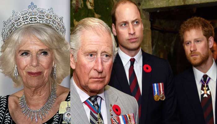 Queen Camilla’s pal makes shocking plea to King Charles, Prince William about Harry