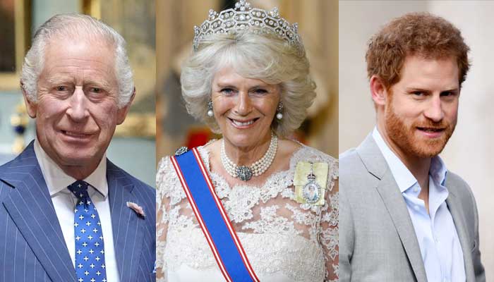 King Charles considers Prince Harry ‘too much of a thorn in Monarchy’s side’