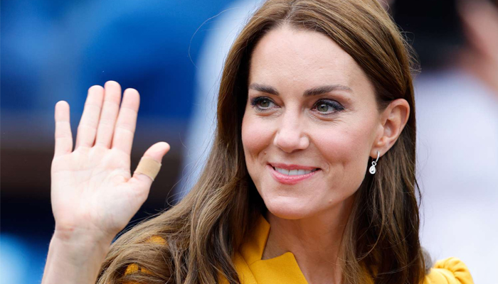 Kate Middleton awarded her own portrait after King Charles