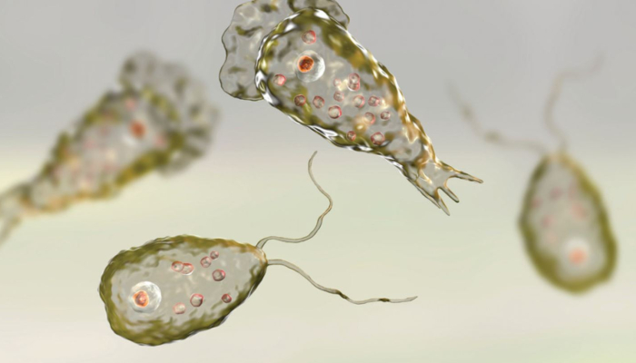 How to protect yourself from Naegleria in summer?