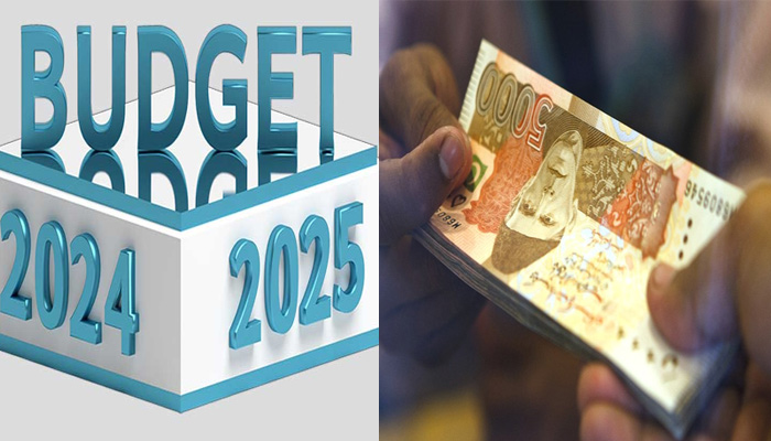 اوور سیز انویسٹر چیمبر آف کامرس اینڈ انڈسٹری نےحکومت کو بجٹ تجاویز دے دیں