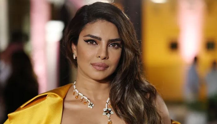 Priyanka Chopra's 'view from bed' gives super-adorable vibes 