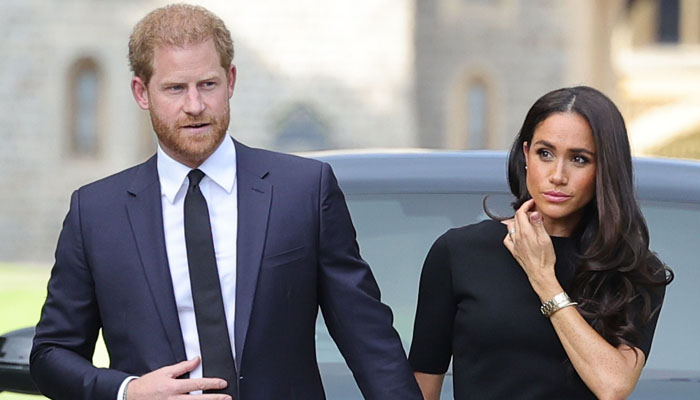 Prince Harry’s friends ‘hate’ Meghan Markle who ‘loathes’ them