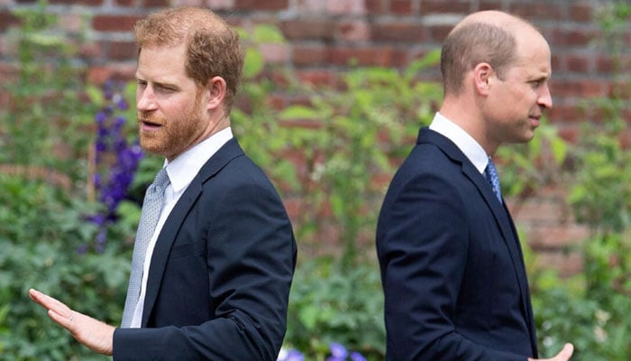 Prince Harry ‘hates’ idea of William taking his place in UK circle
