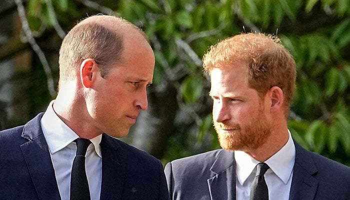 Prince Harry, William to give Brits ‘sigh of relief’ with one move