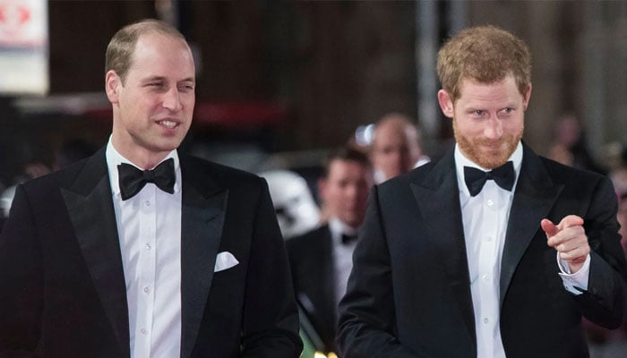Prince Harry, William urged to ‘grow up and show up’