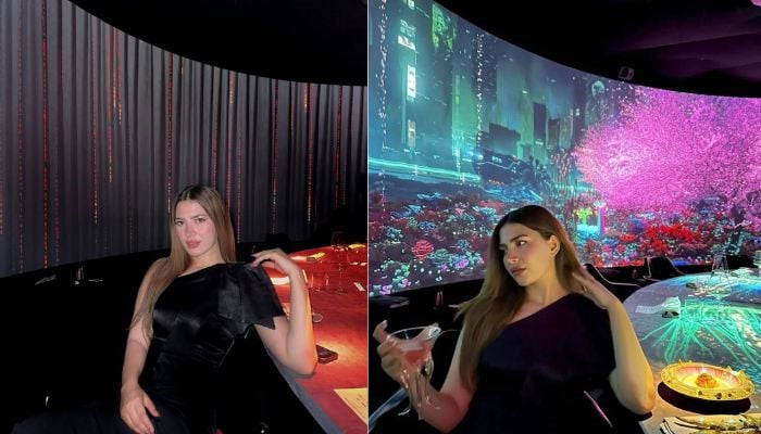 Hamza Ali Abbasi's wife Naimal Khawar vacations in Dubai