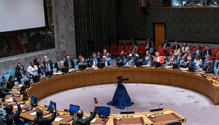 UN General Assembly Elects Five Nations to Security Council