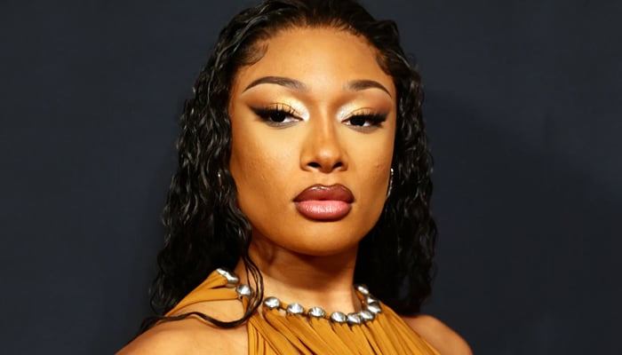 Megan Thee Stallion abruptly breaks down during concert