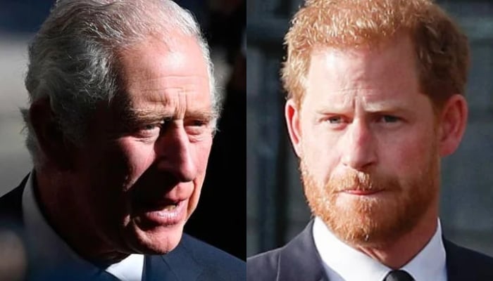 King Charles warns Prince Harry to not talk about Prince William, royals