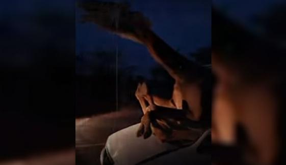 اونٹ گاڑی میں پھنس گیا، ویڈیو سوشل میڈیا پر وائرل