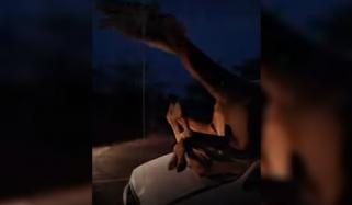 اونٹ گاڑی میں پھنس گیا، ویڈیو سوشل میڈیا پر وائرل