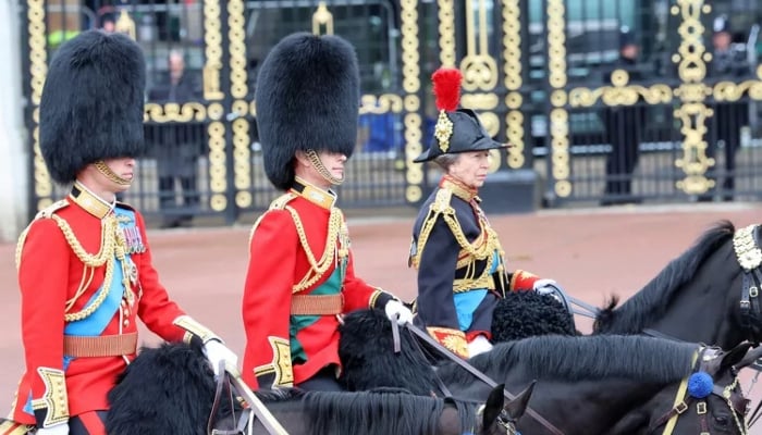 Prince William's horseback appearance at Trooping the Colour
