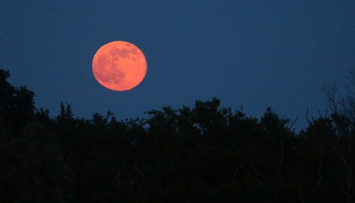 Get ready for the full 'Strawberry Moon' this June