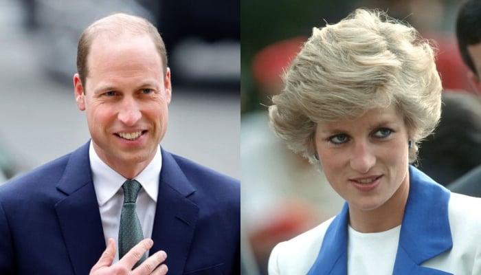 Princess Diana would be 'so proud' of Prince William for THIS reason 