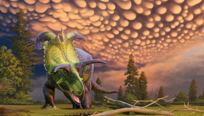 Scientists discover ‘largest and most ornate’ dinosaur species
