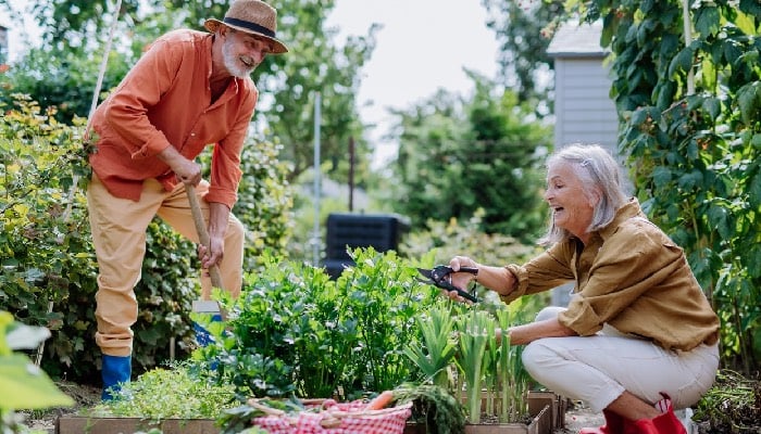 Gardening found to boost brain health in old age