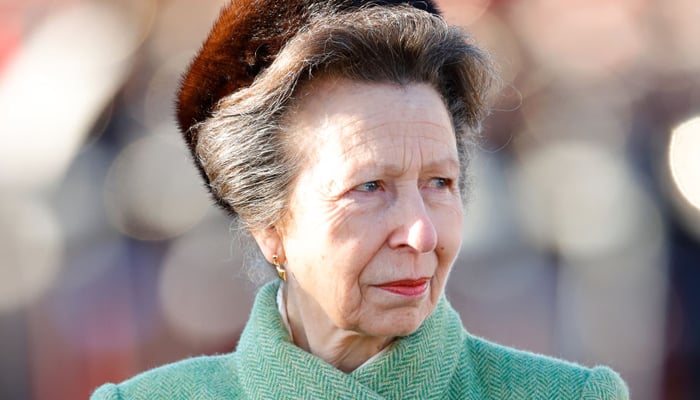 Princess Anne taken to hospital after sustaining head injuries