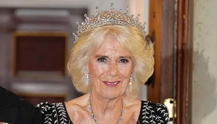 Queen Camilla proves she’s a bookworm in latest podcast