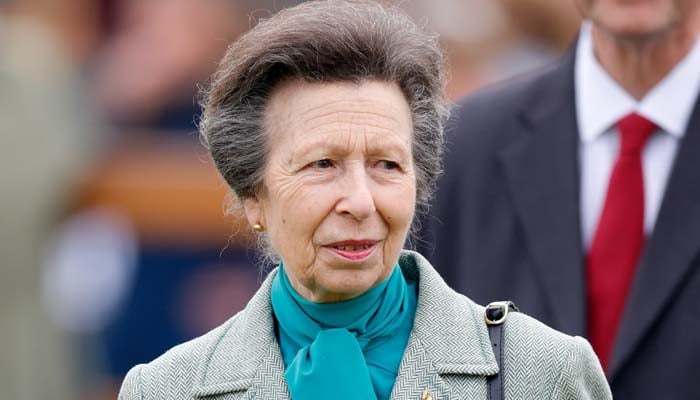 Princess Anne may delay resuming royal duties due to severe ‘concussion’