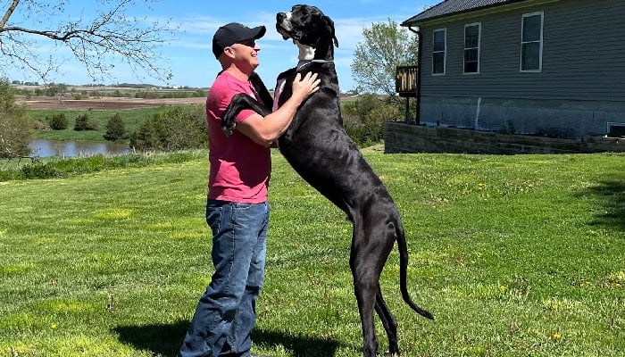 World's tallest male dog Kevin dies shortly after receiving GWR title