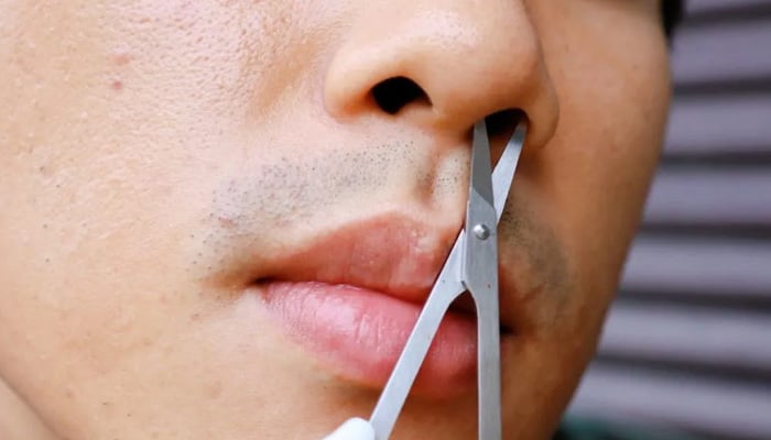 ناک کے اندر بالوں کے فوائد کیا آپ کو معلوم ہیں؟