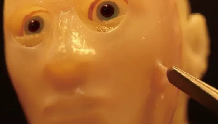 Japanese scientists attach ‘living skin’ to robot faces for realistic expressions