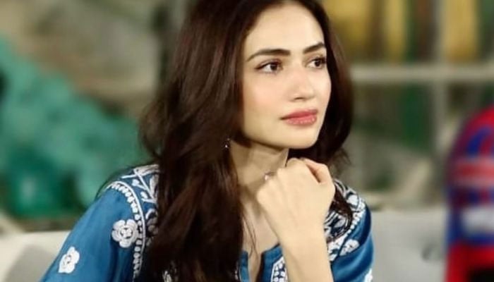 Sana Javed is a vision to behold as she makes a new ethnic style statement