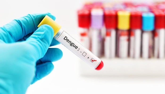 Iran reports 63 new cases of dengue fever