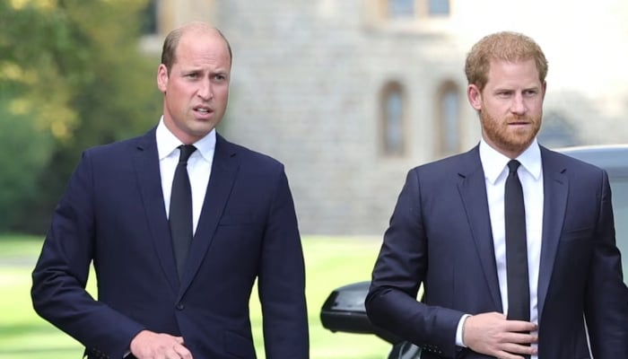 Here’s why Prince William, Prince Harry missed chance for resolution