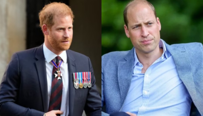 Prince William unforgivable grievance against Prince Harry laid bare