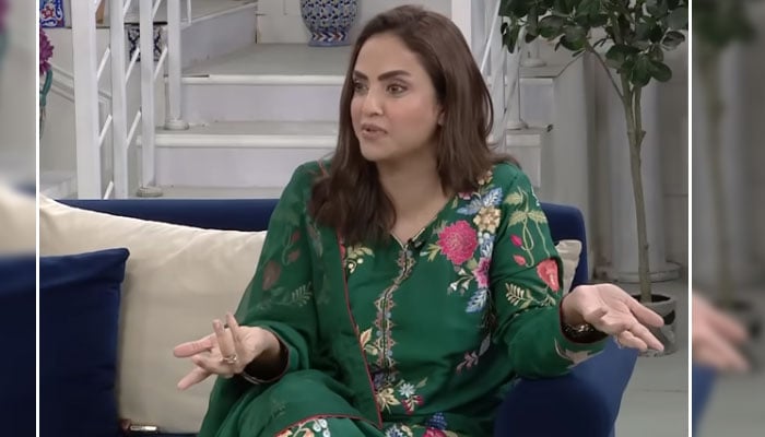 اسکرین گریب بشکریہ یوٹیوب
