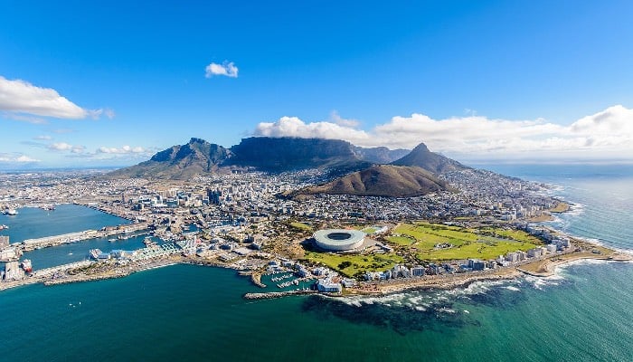Rabies outbreak among seals in Cape Town raises concerns
