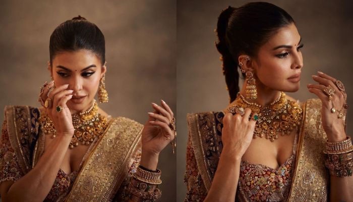 acqueline Fernandez offers a close peek into her exquisite dressing for Anant Ambanis wedding