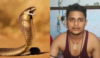 بھارت: 6 بار سانپ کے ڈسنے کے باوجود زندہ بچنے والے نوجوان کو ایک بار پھر کاٹ لیا