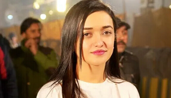 صنم جاوید—فائل فوٹو