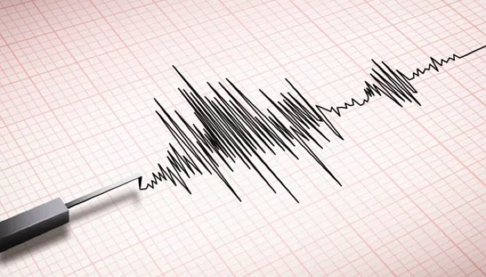 Earthquake tremors were felt in neighboring El Salvador and Nicaragua