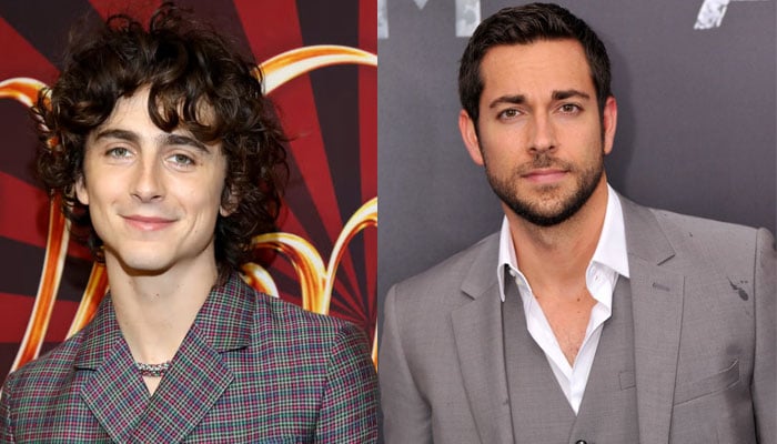 Timothée Chalamet to play Flynn Rider in Tangled? Heres what we know
